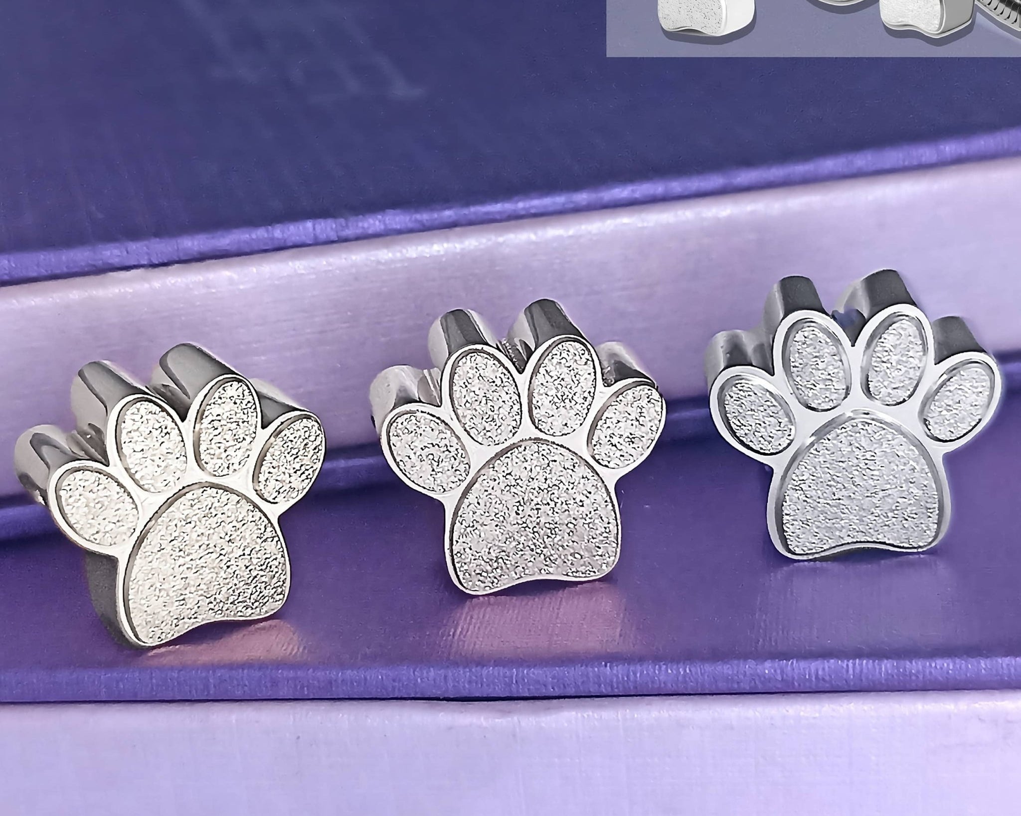 Sparkling Paw Charm for Moments Bracelet - Moments Charm Bracelets by Belle Fever